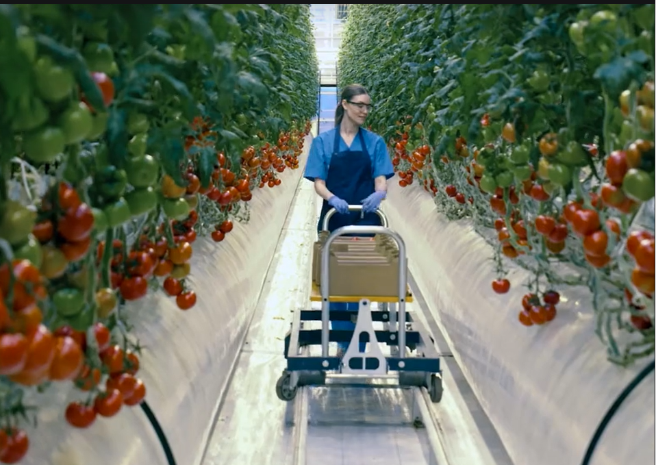 Polymatech Electronics Unlisted Shares - Horiculture Devices